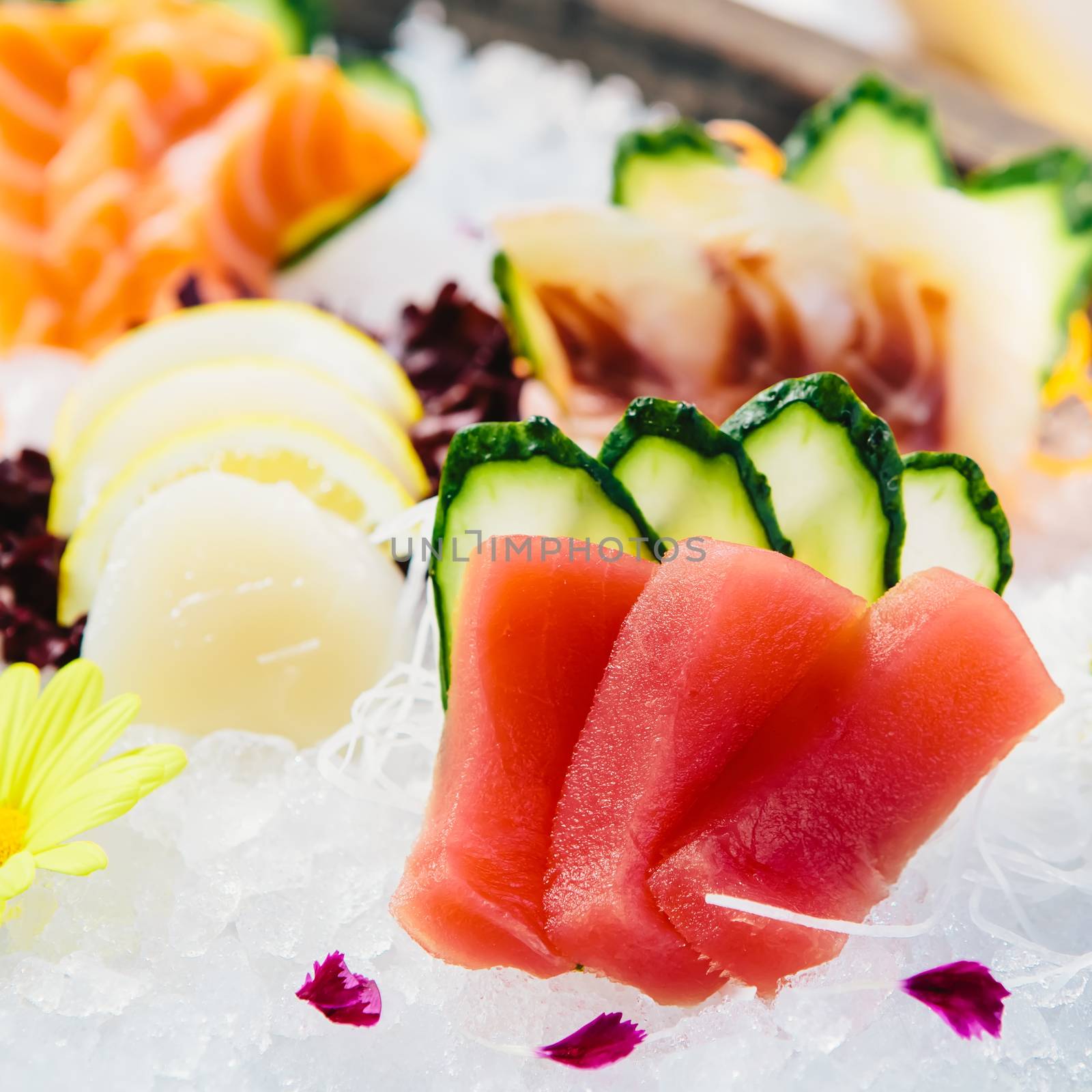 Tuna Sashimi - Maguro fresh raw tuna on Daikon White Radish. Garnished with Ginger, Wasabi, Seaweed, Cucumber, Salad Leaf and Lemon