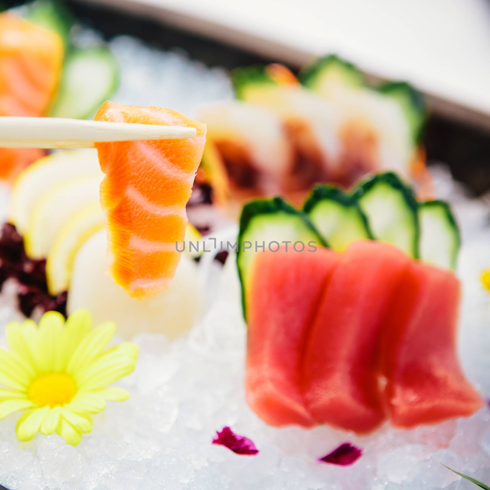 Tuna Sashimi - Maguro fresh raw tuna on Daikon White Radish. Garnished with Ginger, Wasabi, Seaweed, Cucumber, Salad Leaf and Lemon