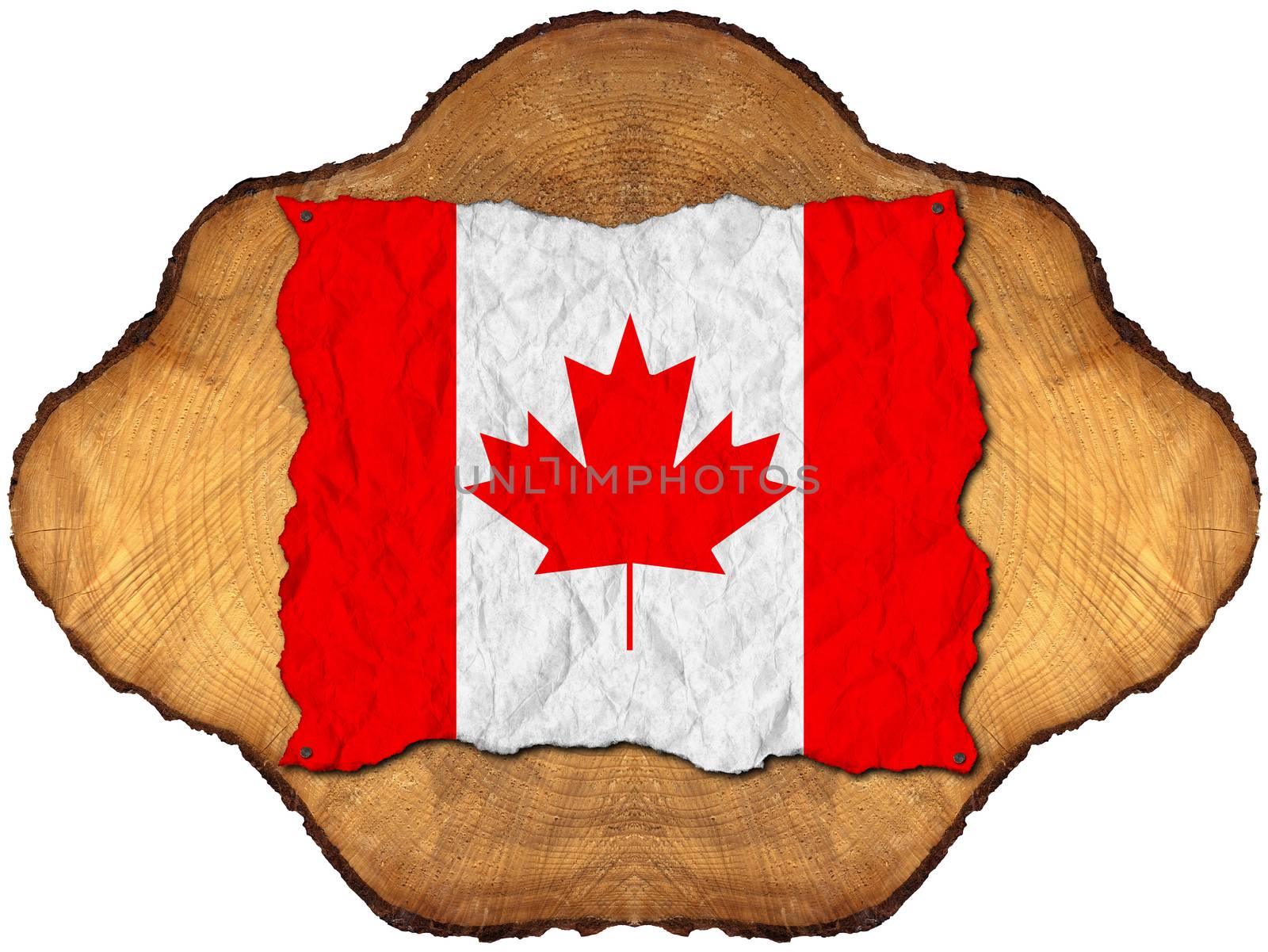 Canadian flag on a wrinkled sheet of paper with nails, on a section of tree trunk isolated on white background