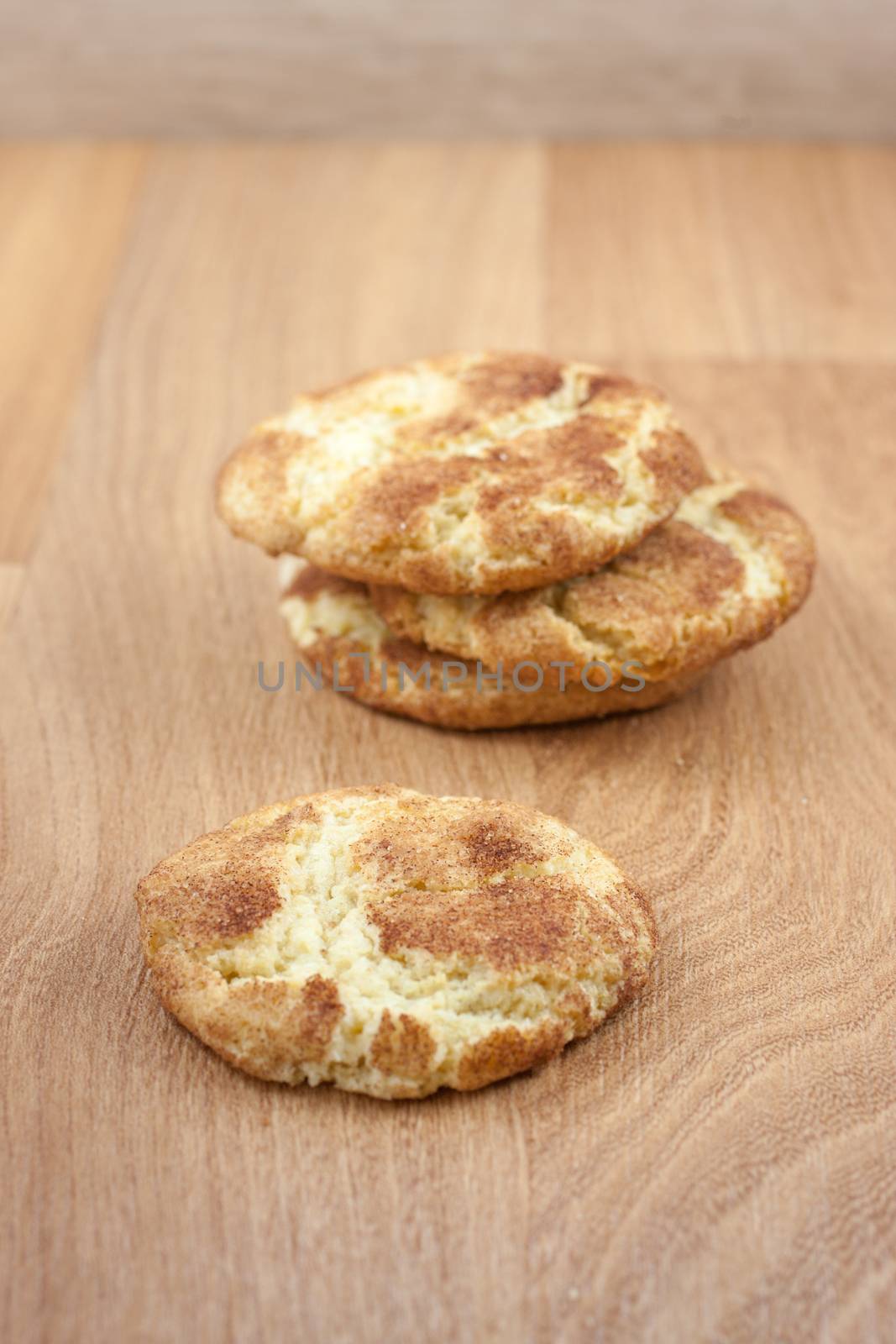 Snicker Doodle Cookies by SouthernLightStudios