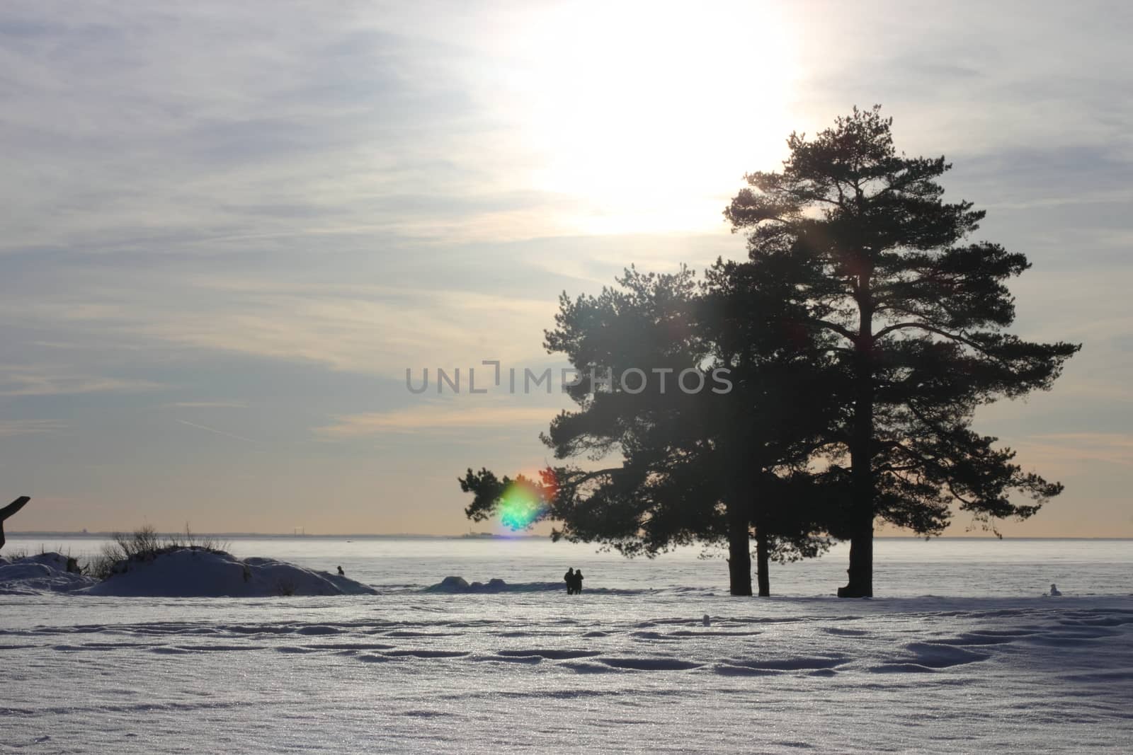 Landscape with the beginning of the sunset on the Gulf of Finland with trees