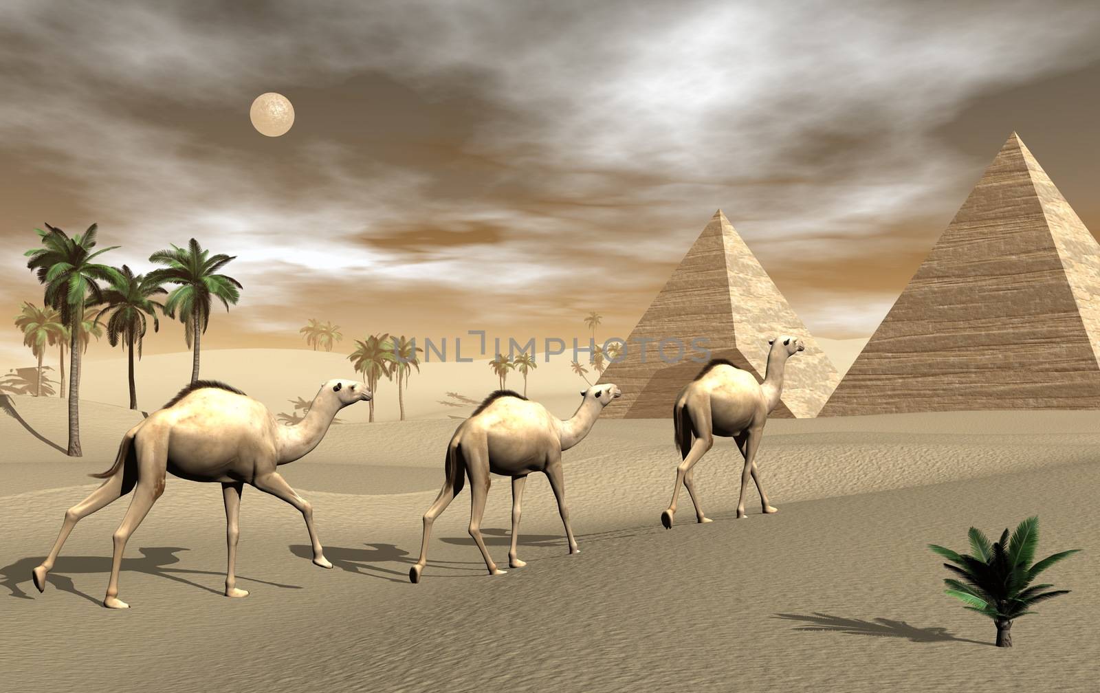 Three camels walking towards pyramids in the desert by brown sunset with full moon - 3D render