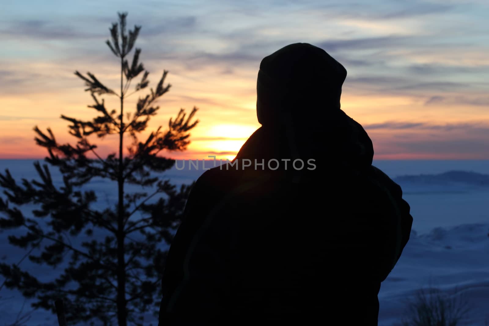 man in  the sunset on the Gulf of Finland with trees