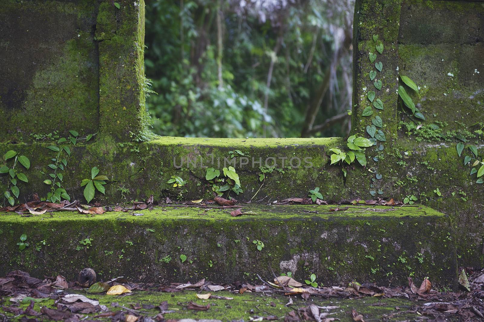 Sacred places of Ubud.
Ubud. Bali. Indonesia. 