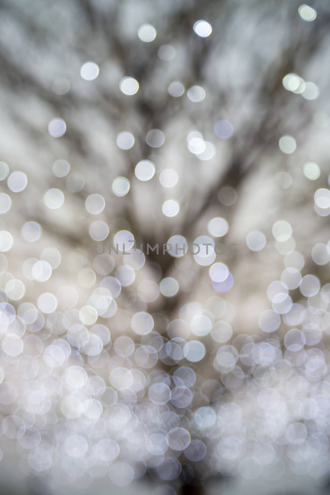 Blurred circles bokeh of tree lights by vinnstock