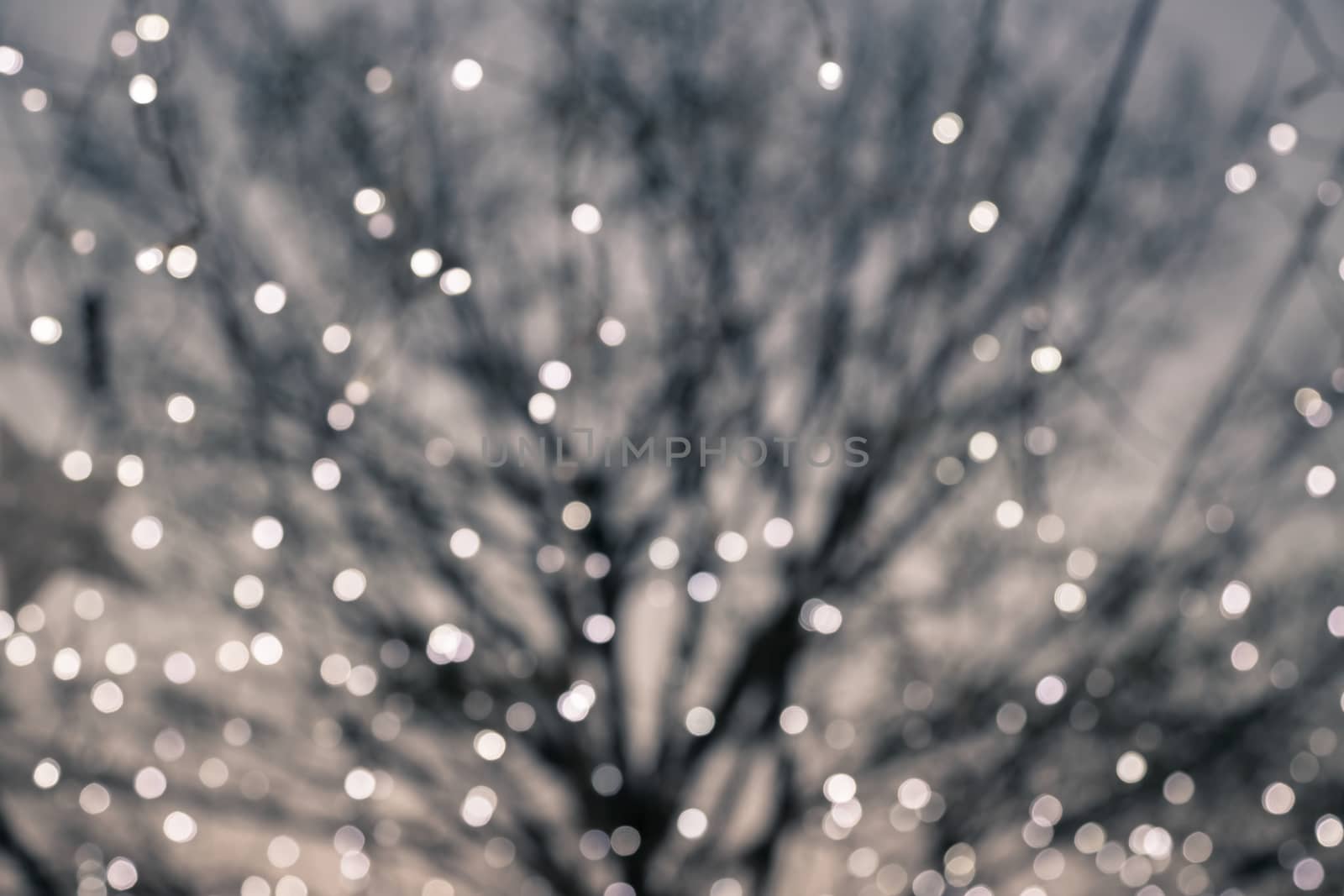 Blurred bokeh lights with deciduous tree on background by vinnstock