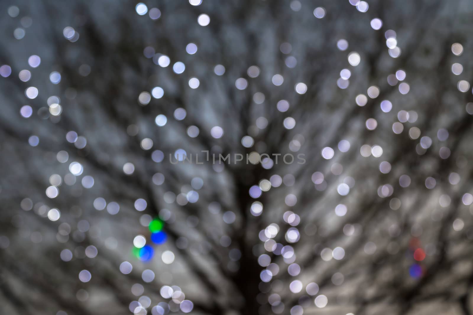 Defocused night lights with deciduous tree on background, holiday and seasonal background