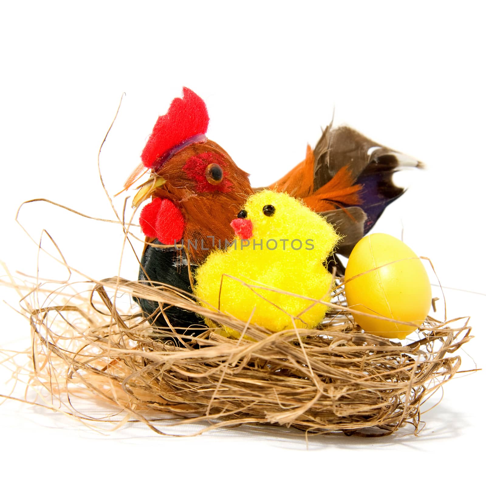 chicken and egg for easter over white background