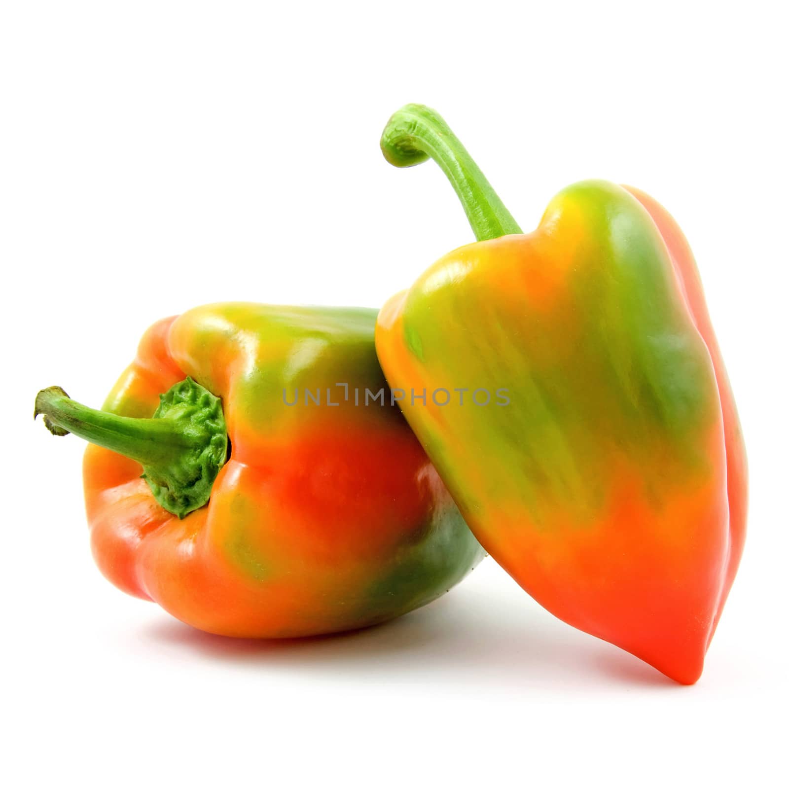 Two colorful Paprika over white background