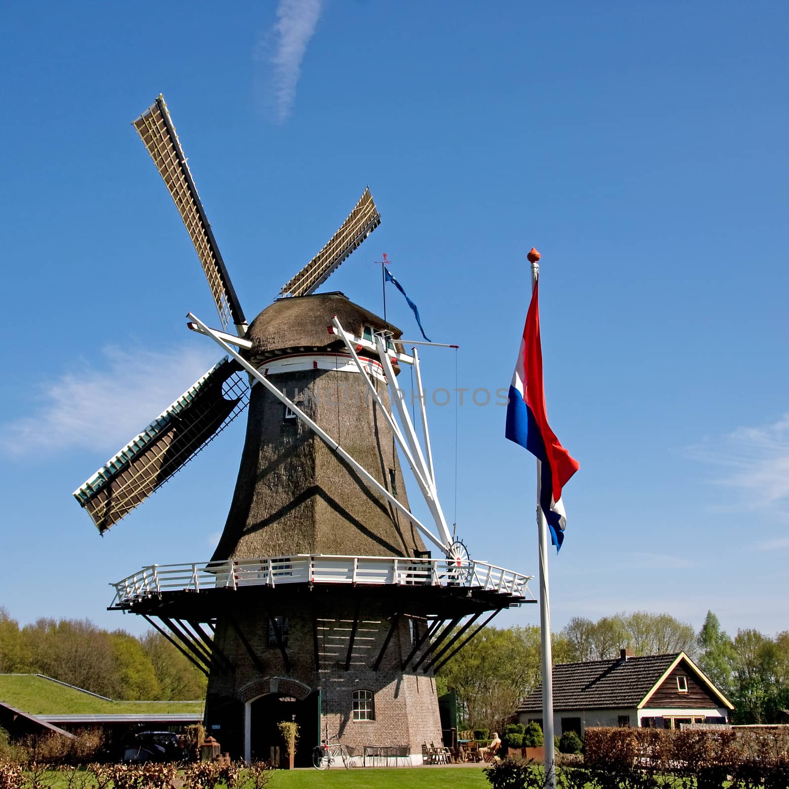 Dutch windmill in the city Appel against blue sky