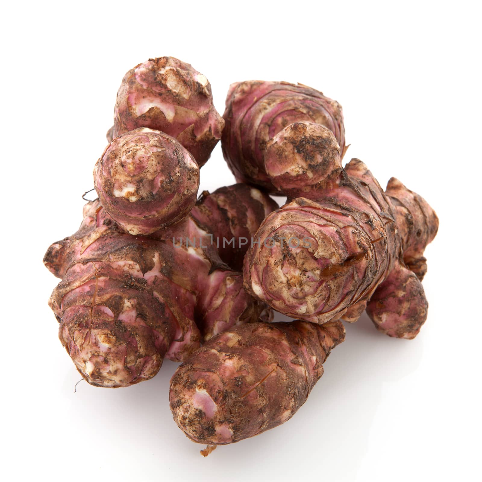 Jerusalem artichoke vegetable isolated on white background