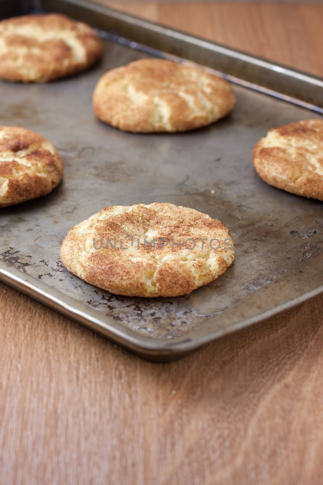Snicker Doodle cookies on a cookie sheet, sitting on a counter.