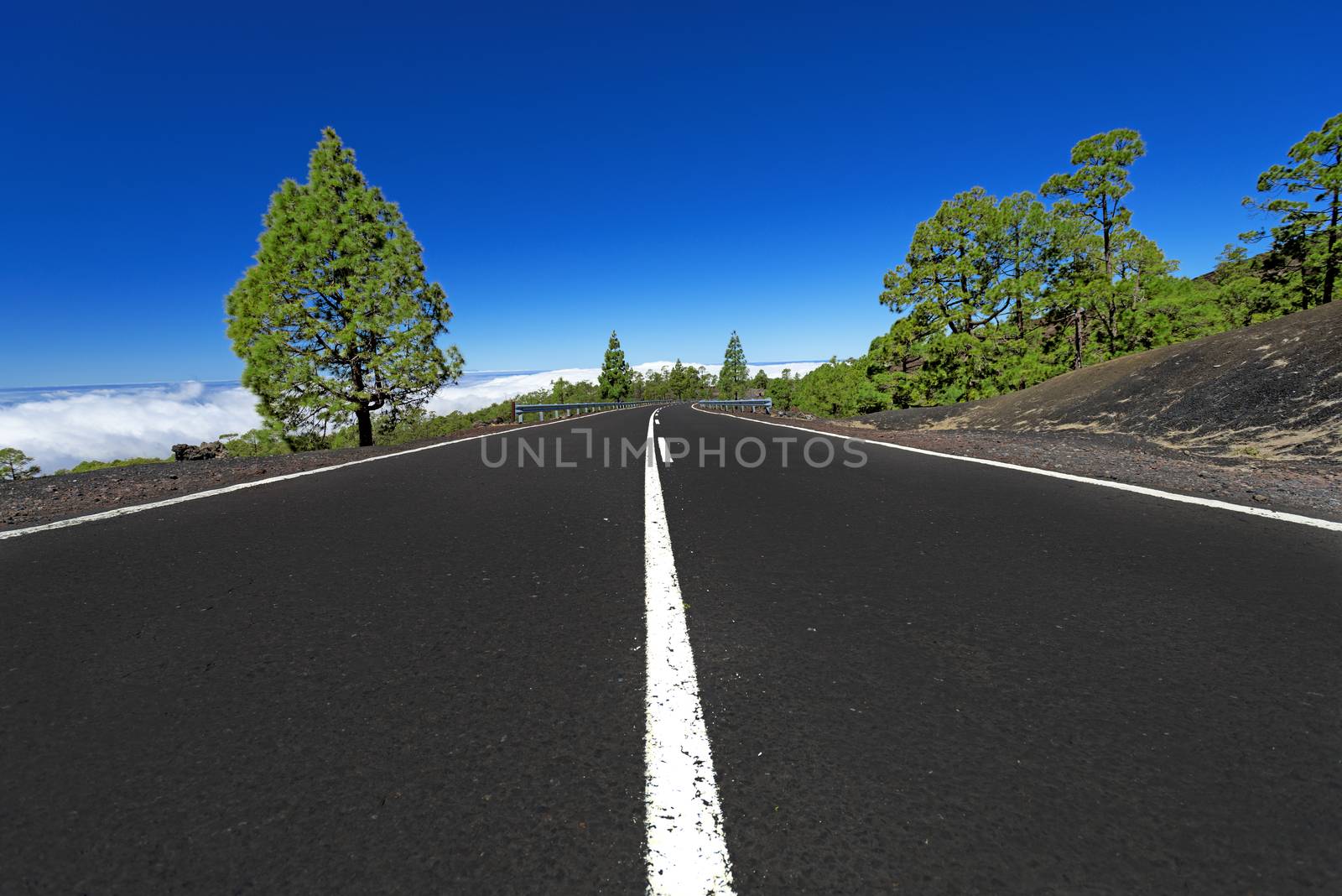 Asphalt road in mountains above clouds
