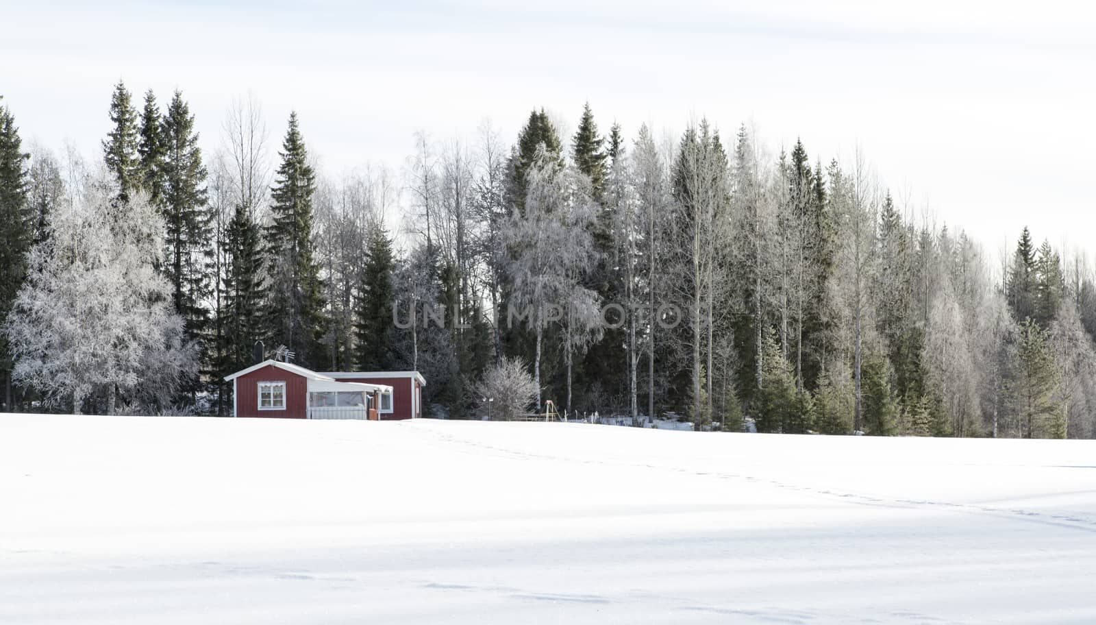 Traditional Swedish Cottage in Winter