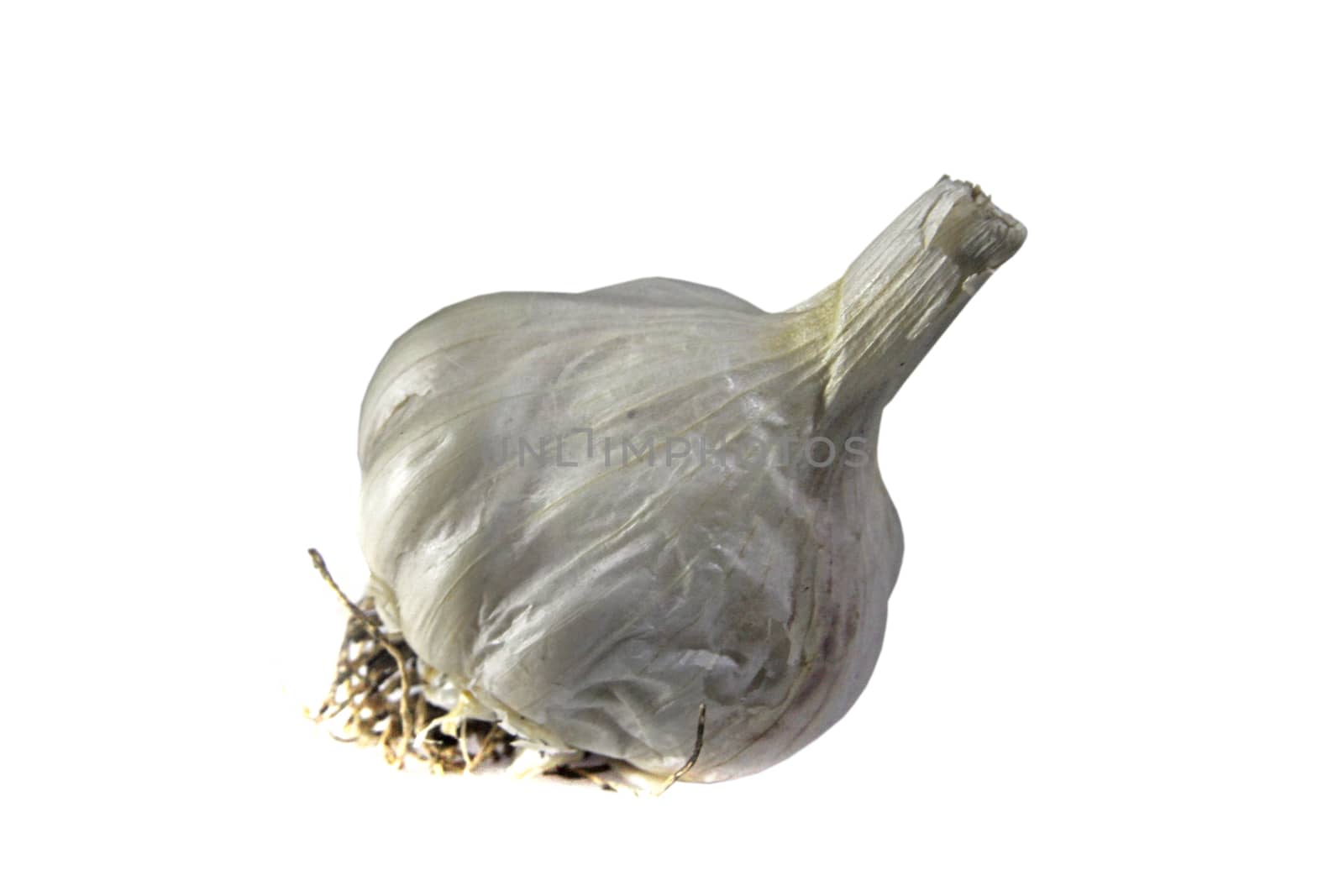 Allium sativum, commonly known as garlic, is a species in the onion genus, Allium.