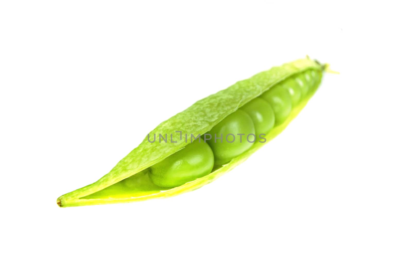 Snap peas, Pisum sativum var. macrocarpon also known as sugar snap peas, are a cultivar group of edible-podded peas.