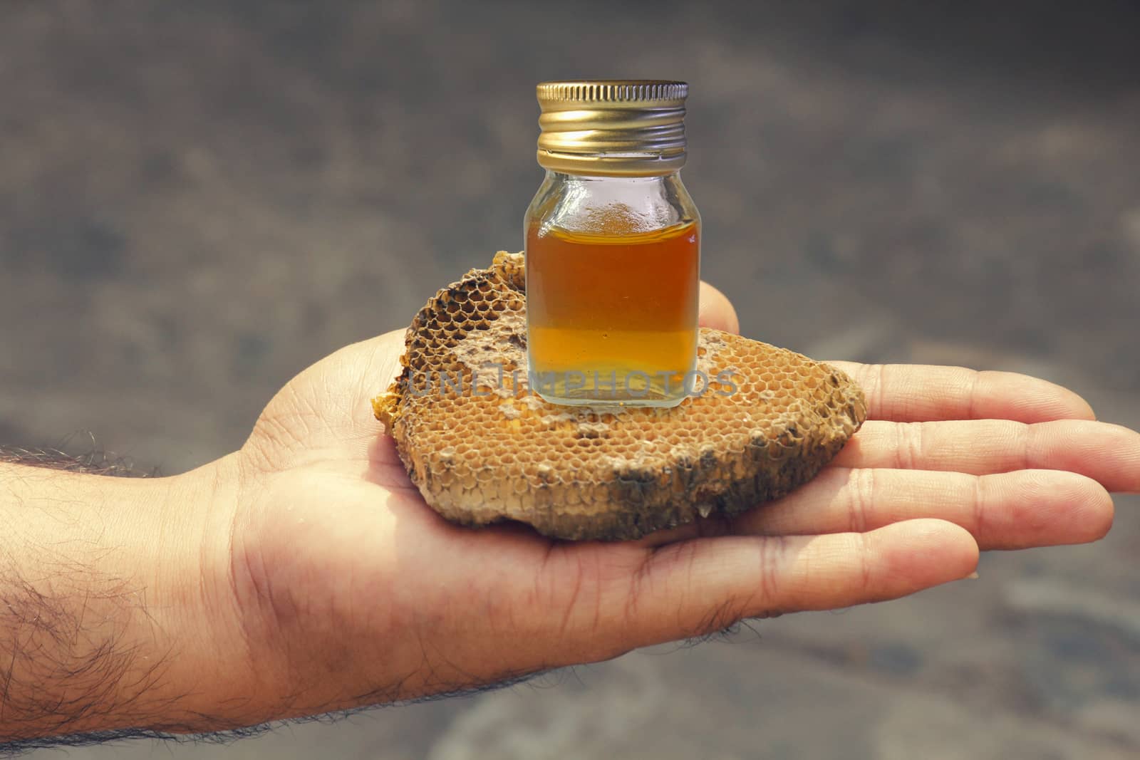 honeycomb and honey in Bottle on Human hand by yands