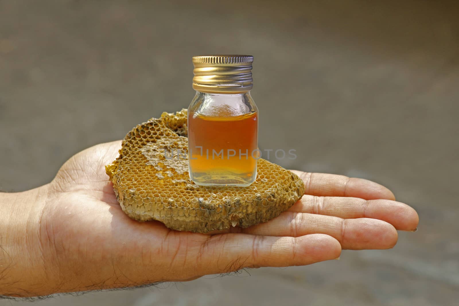 honeycomb and honey in Bottle on Human hand by yands