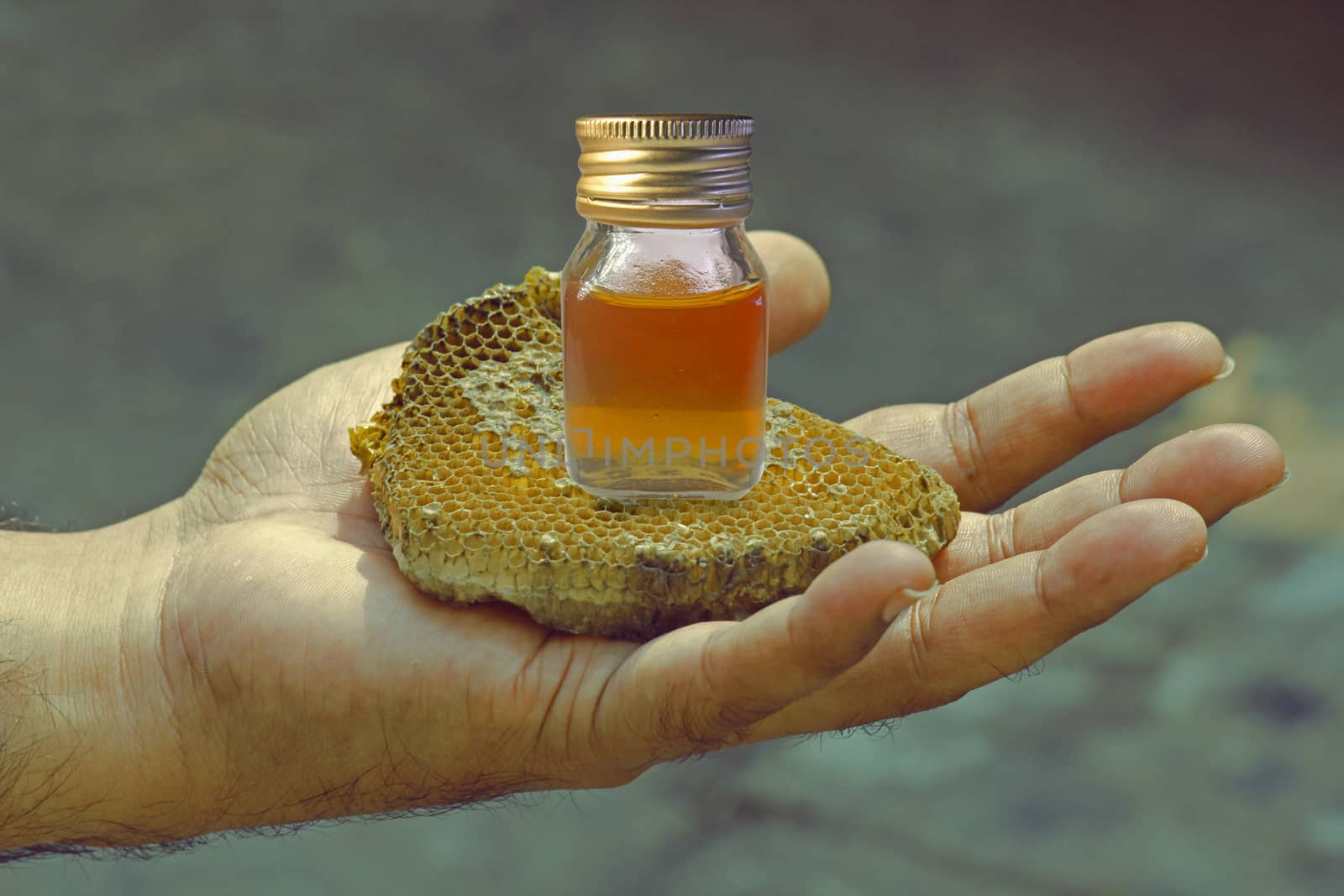 honeycomb and honey in Bottle on Human hand by yands