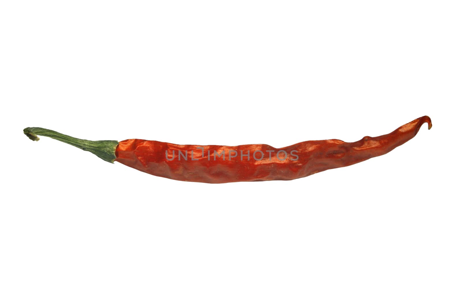 Chili pepper, Red Chili by yands