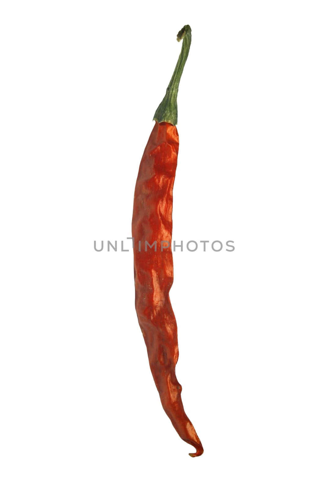 Chili pepper, Red Chili