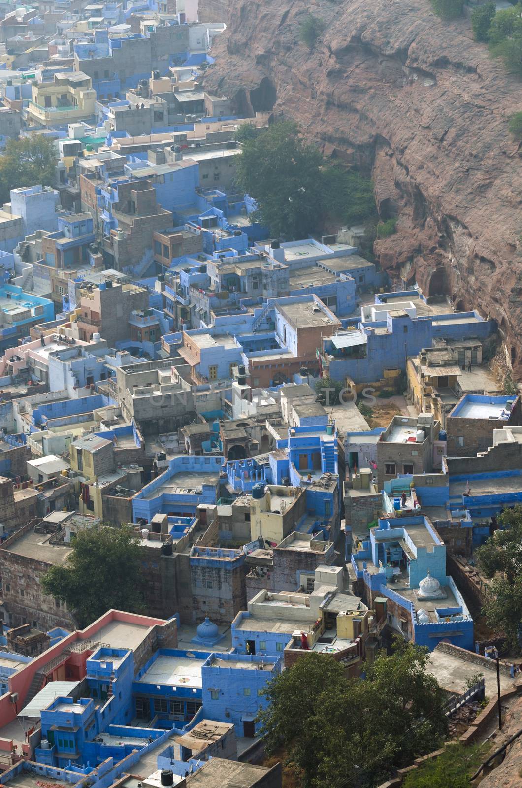 Aerial view of Jodhpur city, also known as "Blue City" due to the vivid blue-painted Brahmin houses. View from Mehrangarh Fort 