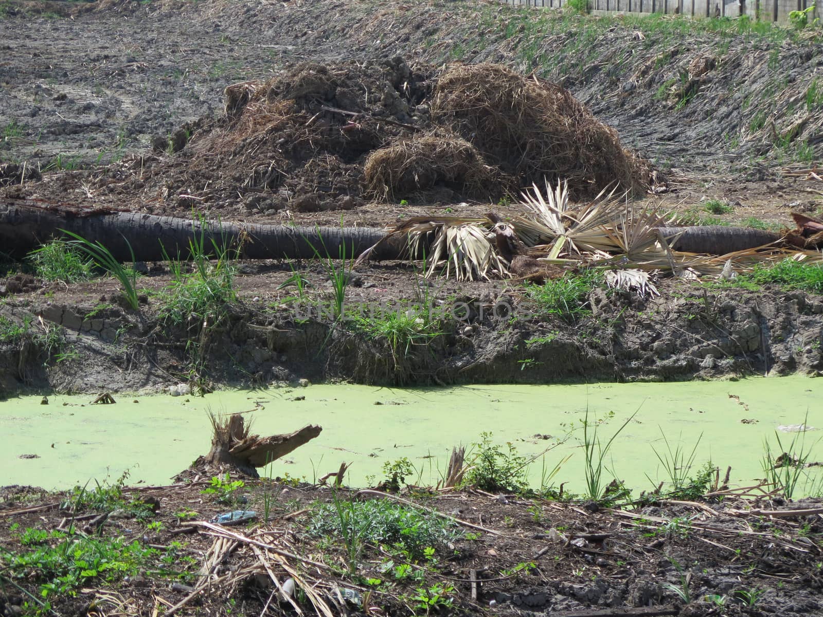 view of mud field and the basin