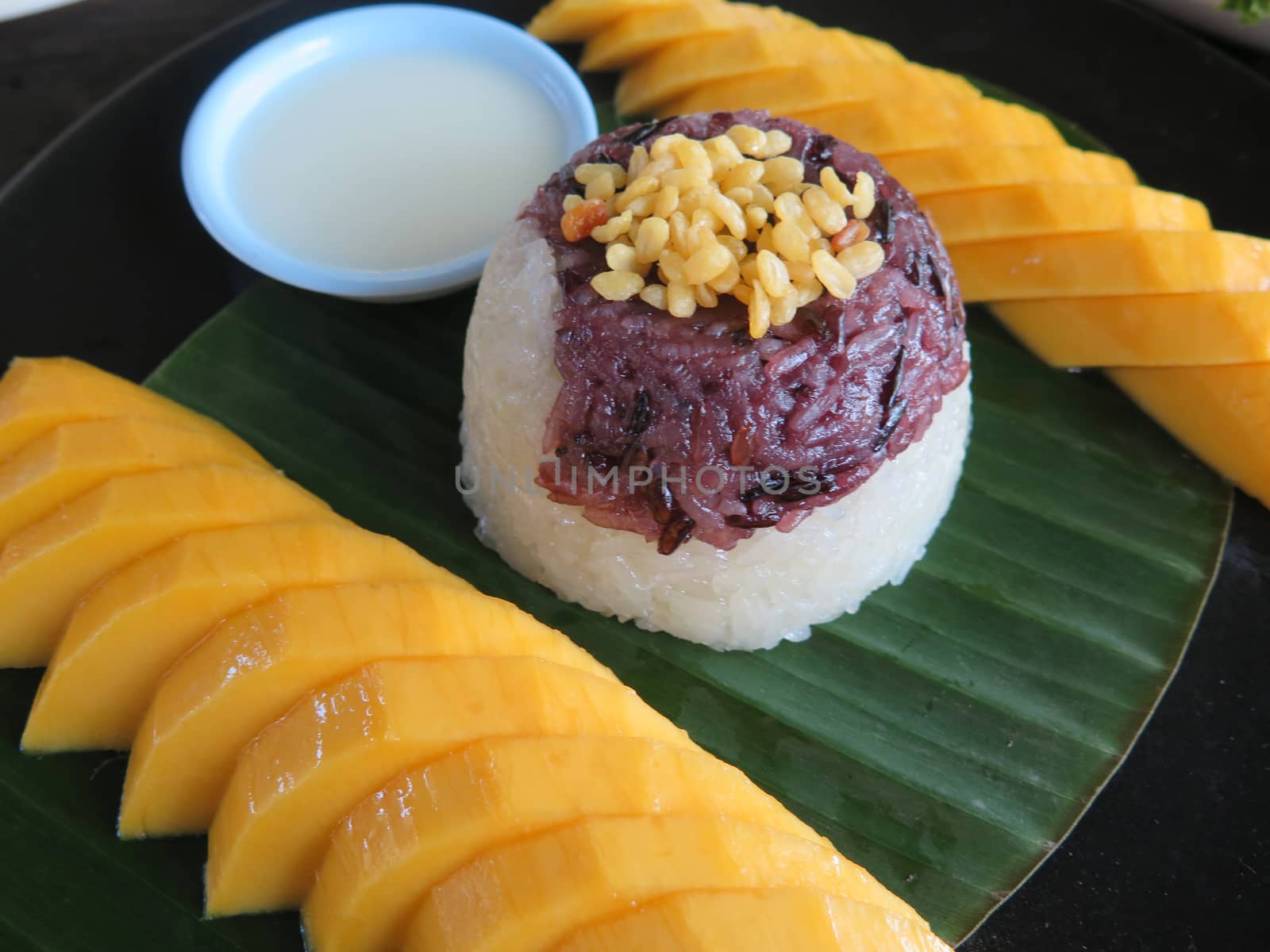 closed up the mango with sticky rice, thai dessert