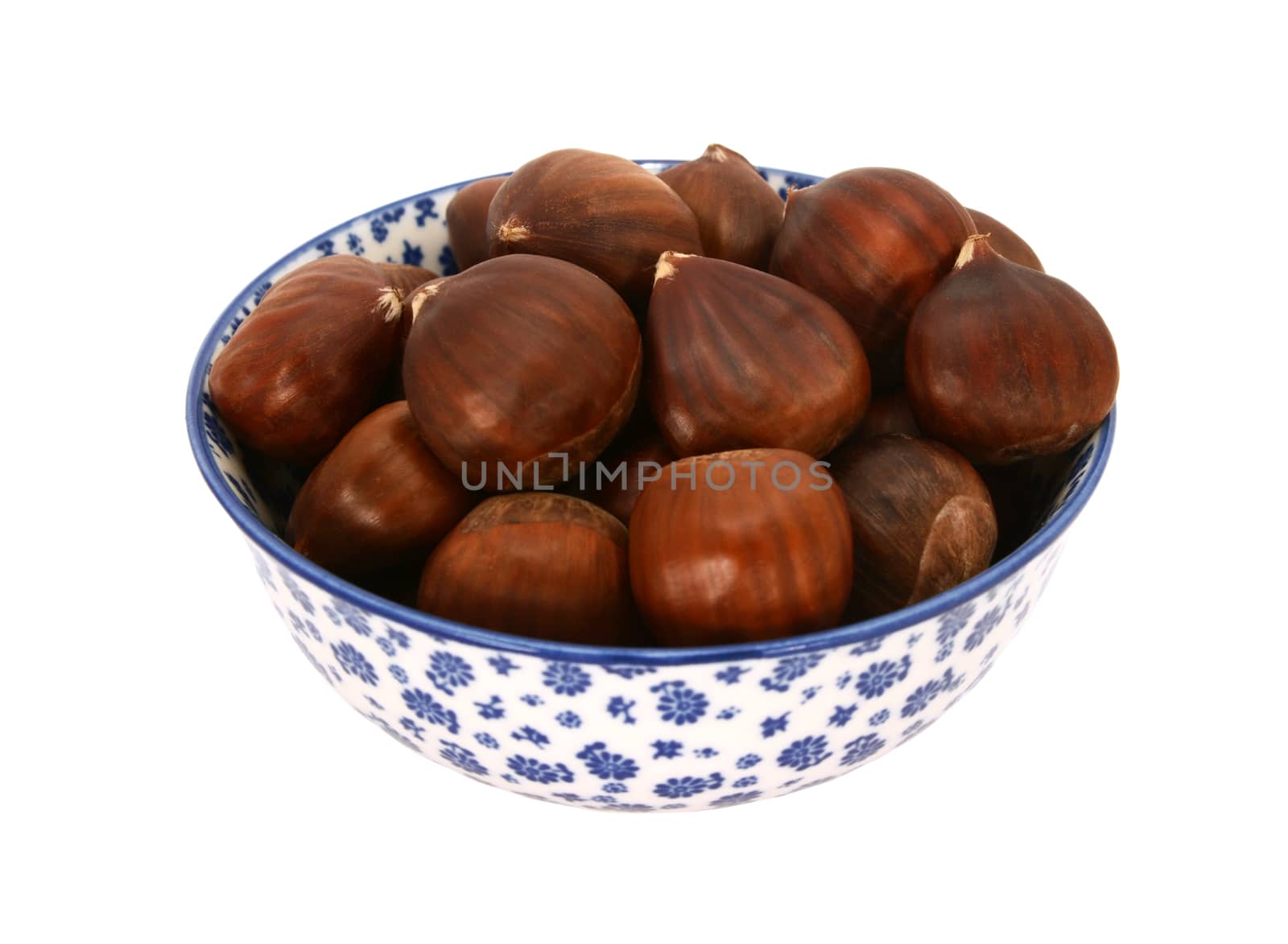 Sweet chestnuts in shells, in a blue and white porcelain bowl with a floral design, isolated on a white background