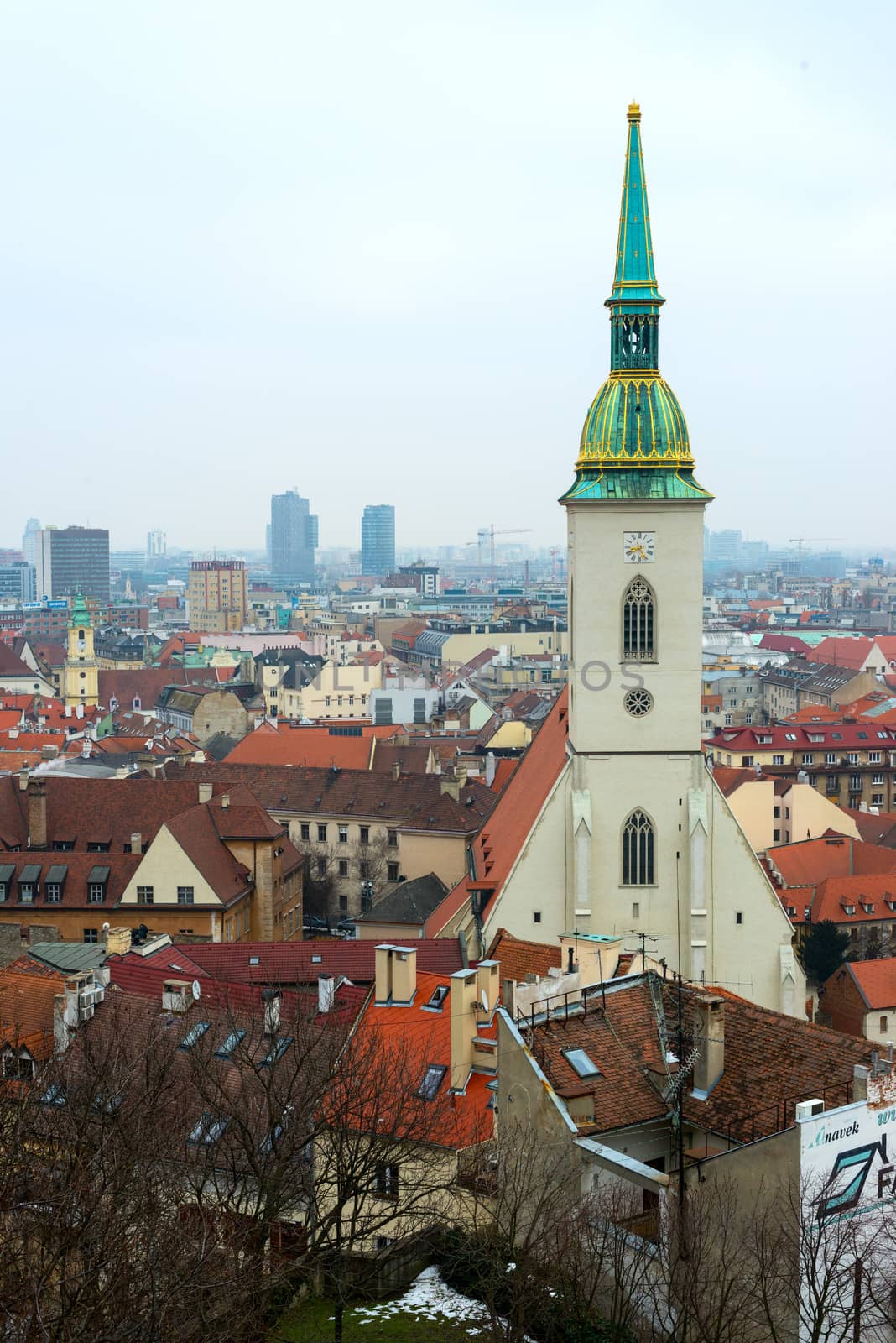 Bratislava Cityscape & St. Martin's Cathedral, Slovakia by DNKSTUDIO