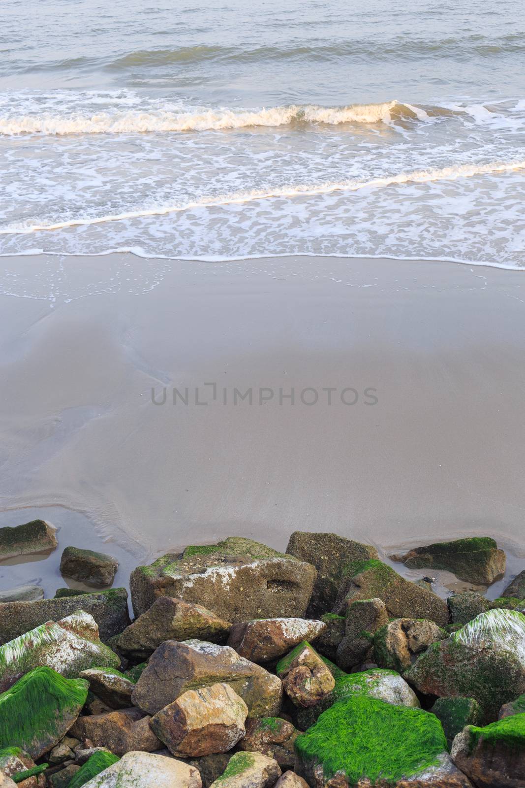 sea sand and moss on rocky shores by papound