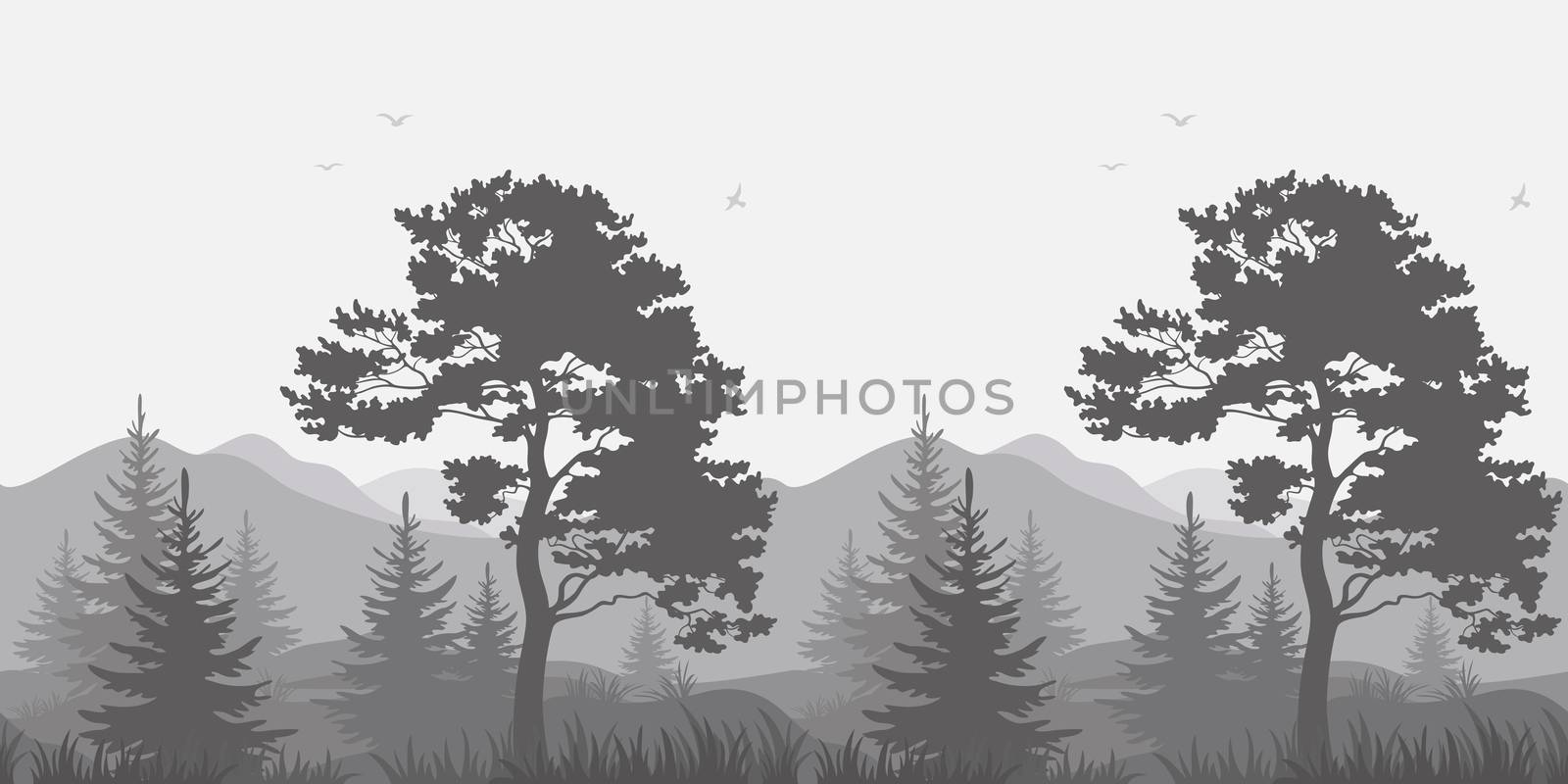 Seamless, mountain landscape with pines, conifer trees, birds and grass, gray silhouettes. 