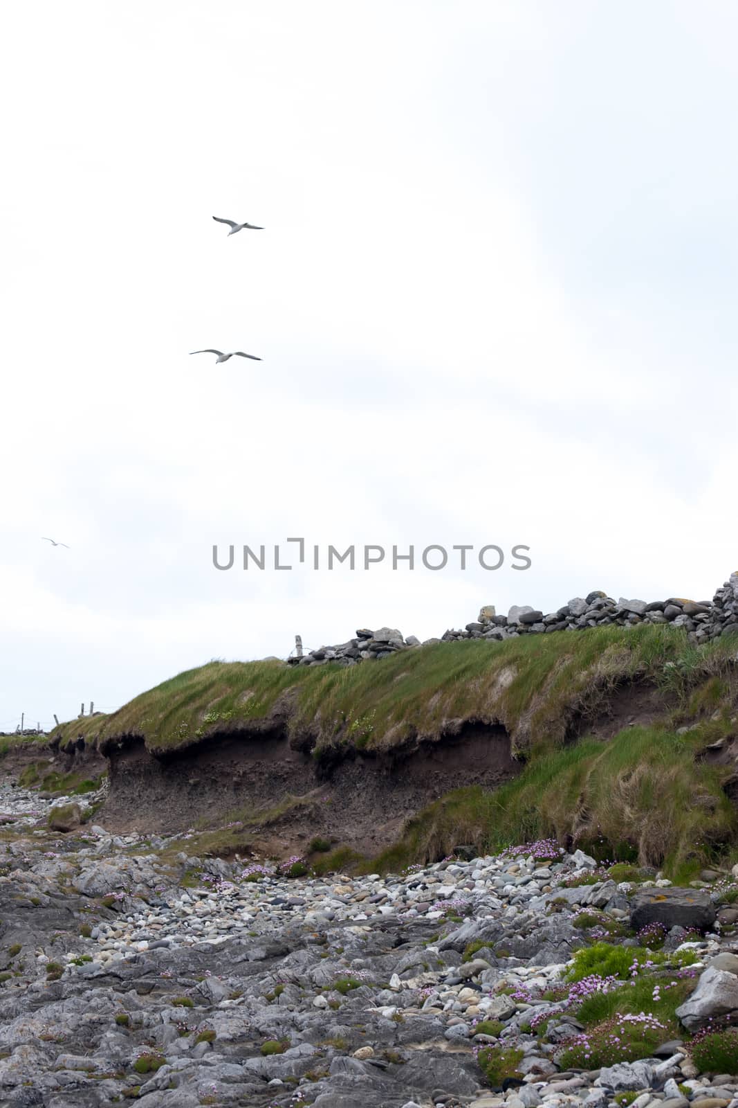 the rocky coastline of the wild atlantic way by morrbyte