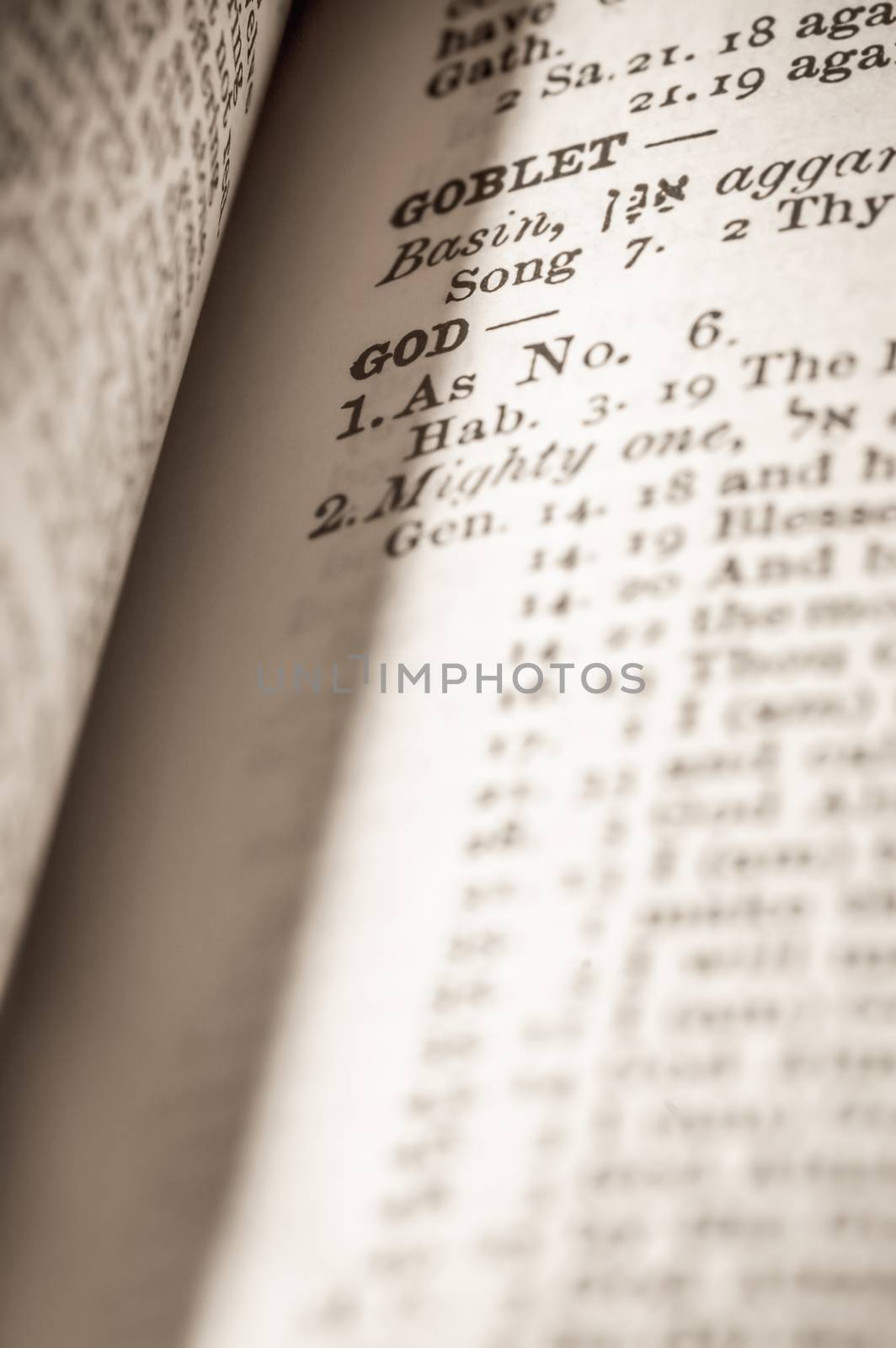 god references in the shadows of a bible page