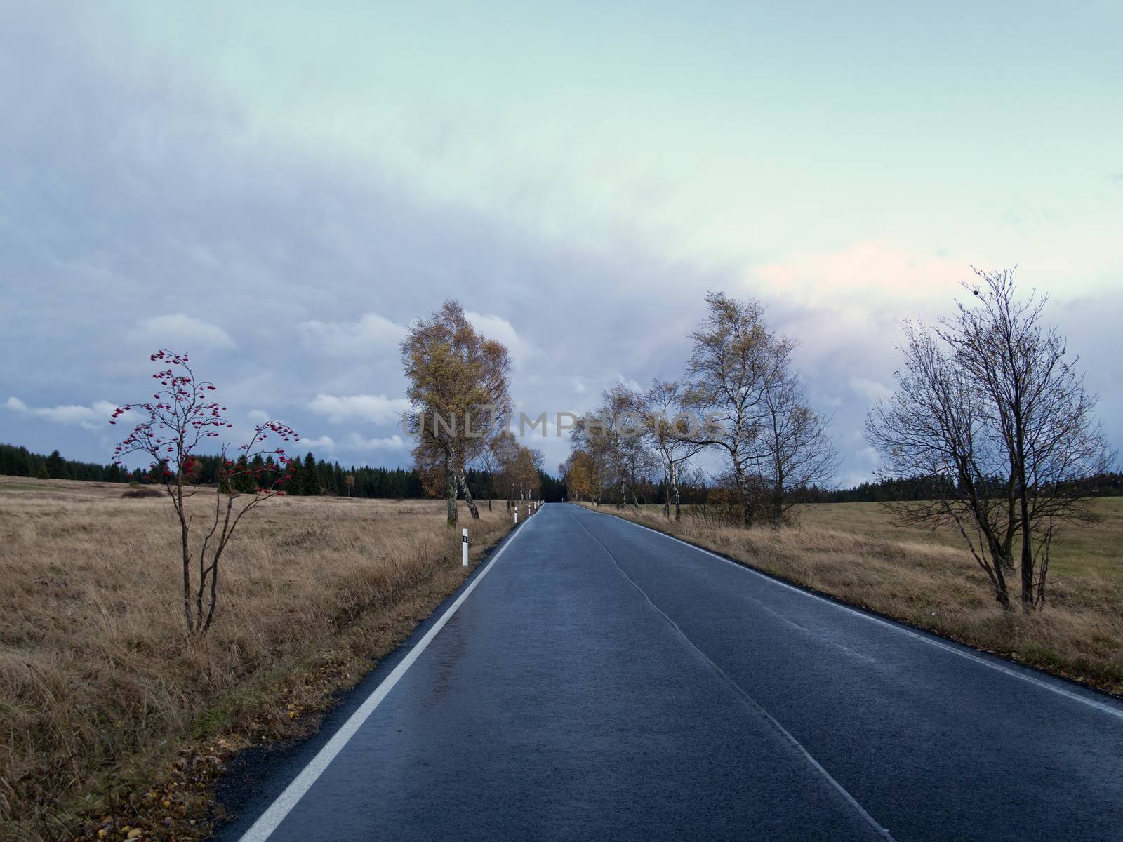 Image of the empty road - on the road