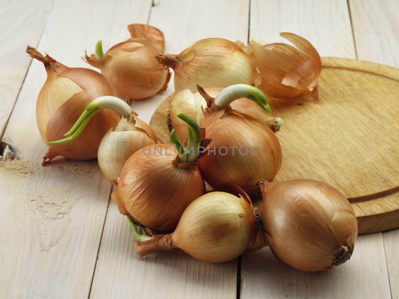 root onion on wooden board