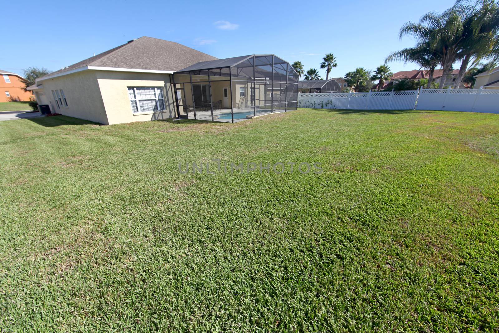 A large yard of a home in Florida