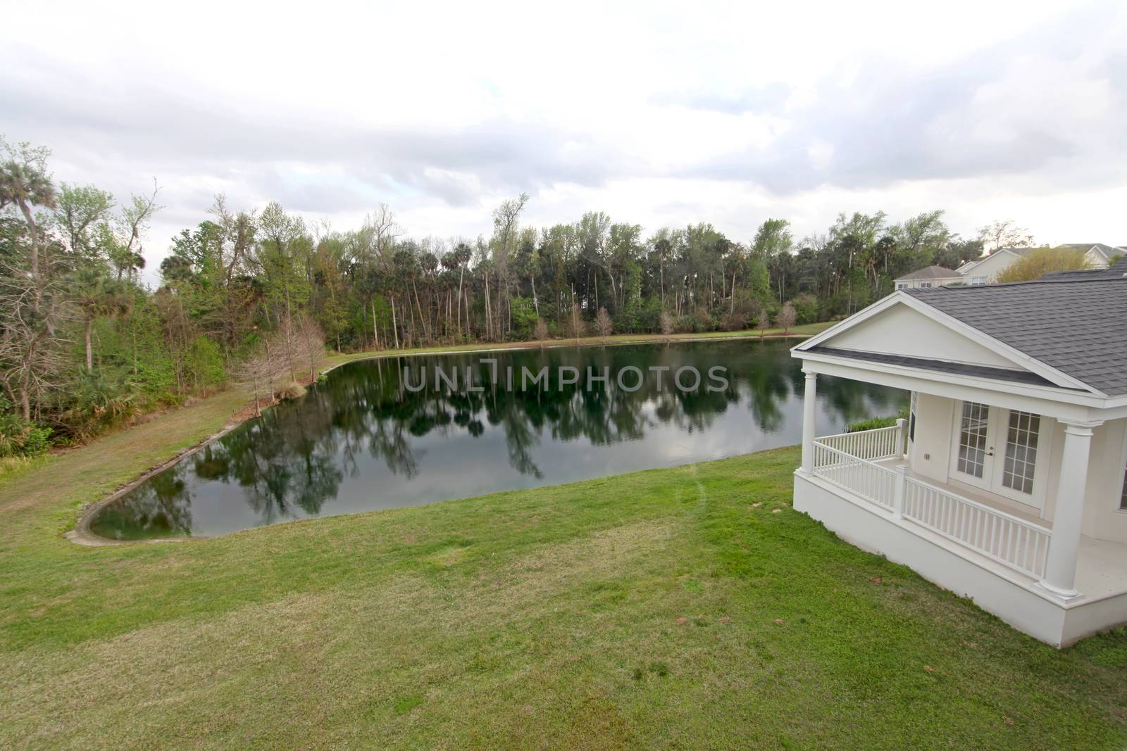 A yard and a pond at a home in Florida