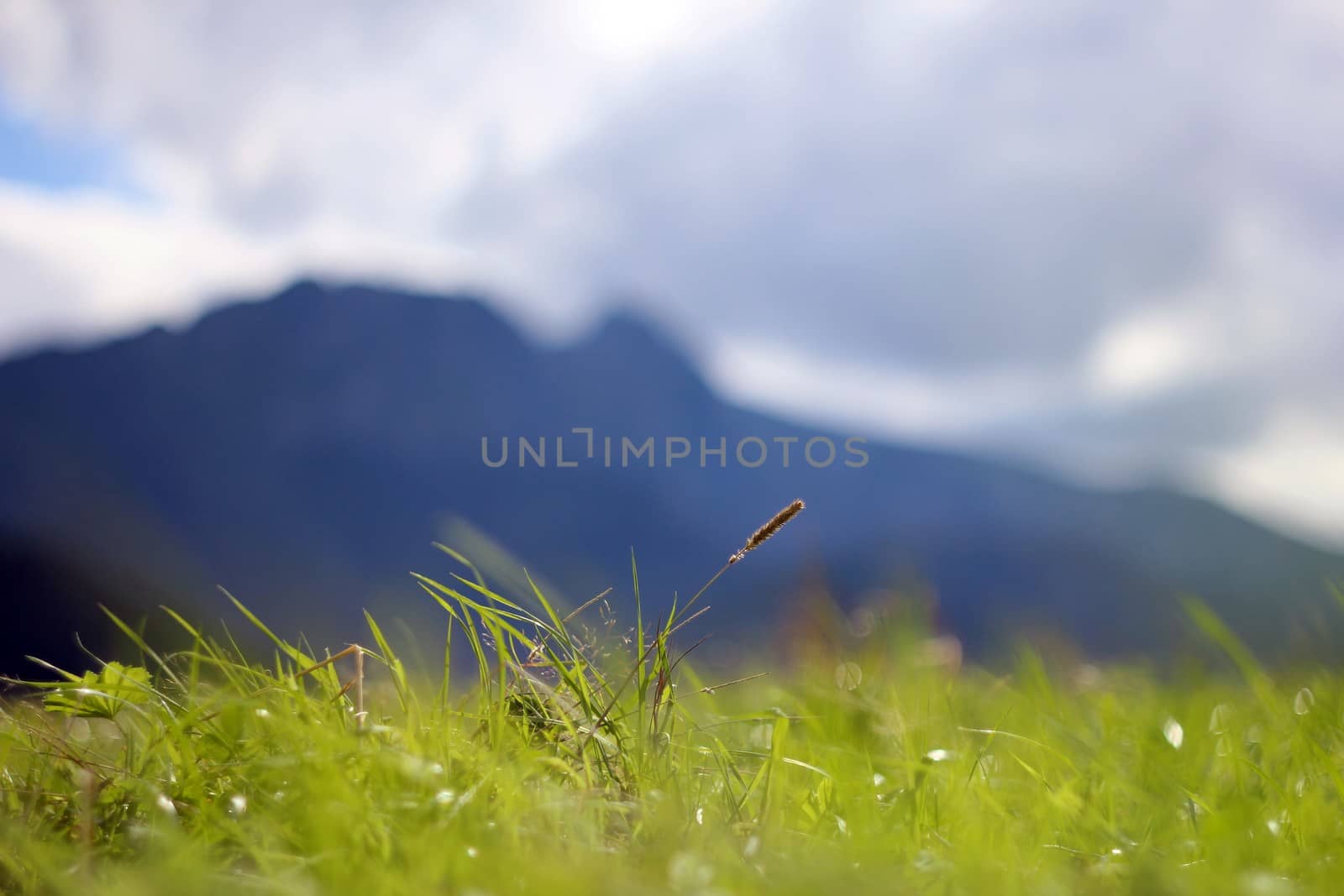 Tatra Mountains - green glade with Giewont in background by sanzios