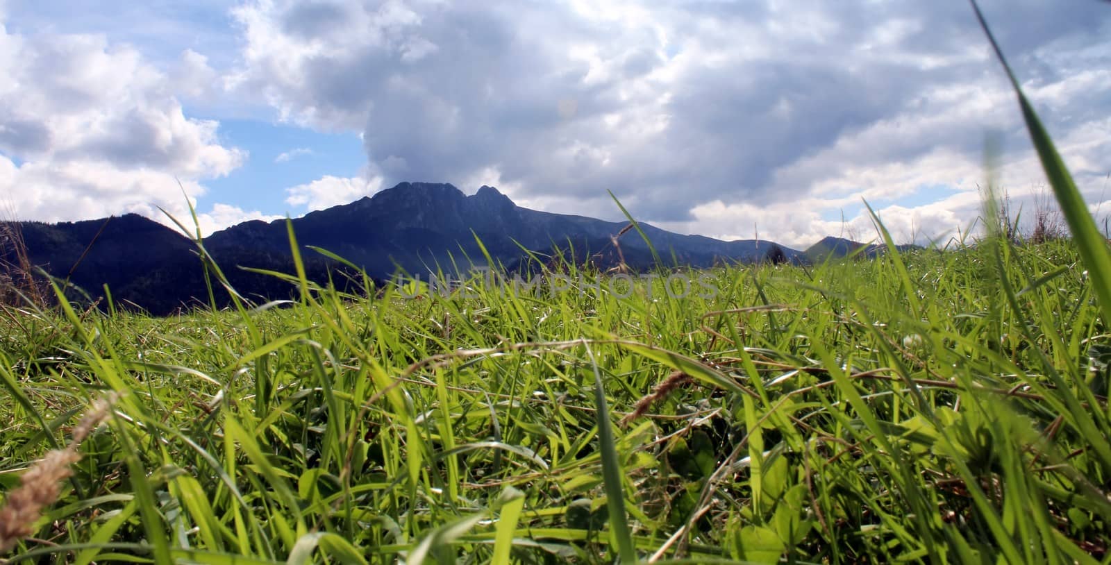 Tatra Mountains - Panorama with view on Giewont by sanzios