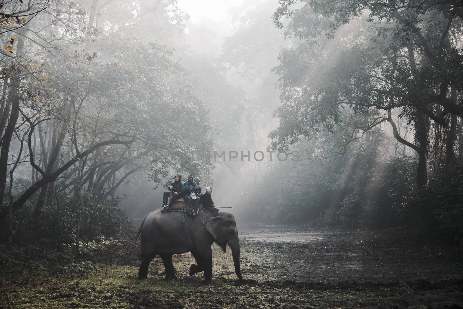 SAURAHA, NEPAL - CIRCA DECEMBER 2014: Tourists doing an elephant safari in Chitwan National Park.