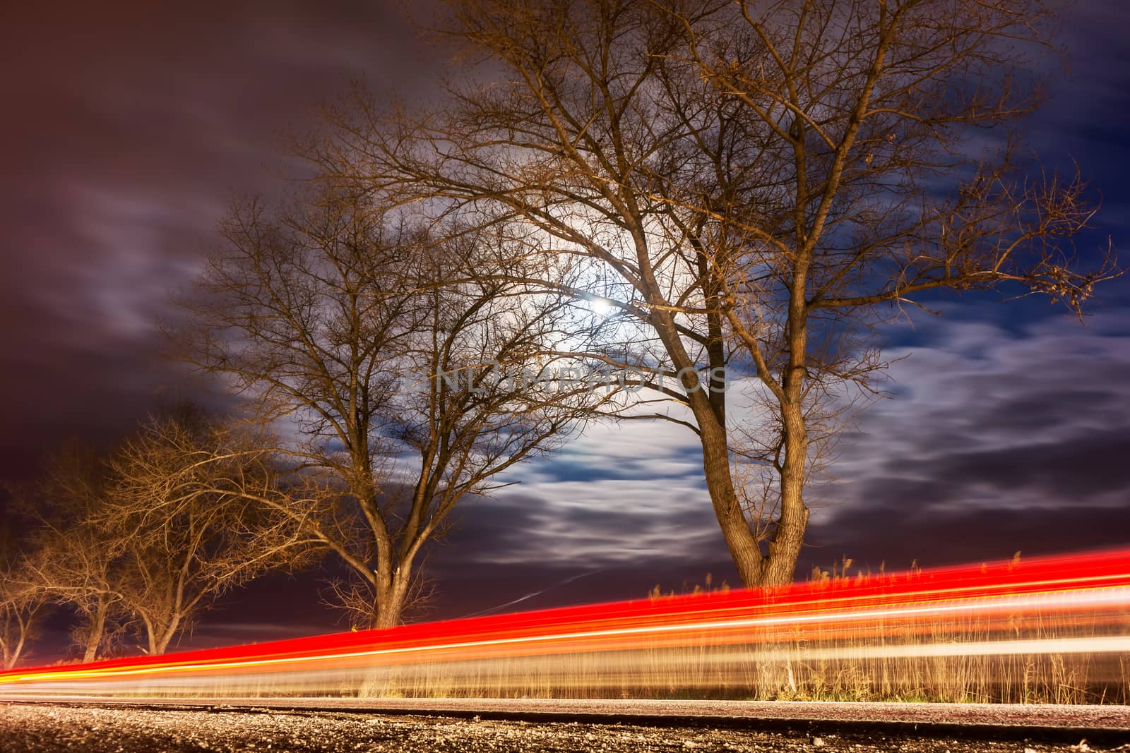 Roadside in the night Illuminated (Long Exposure)