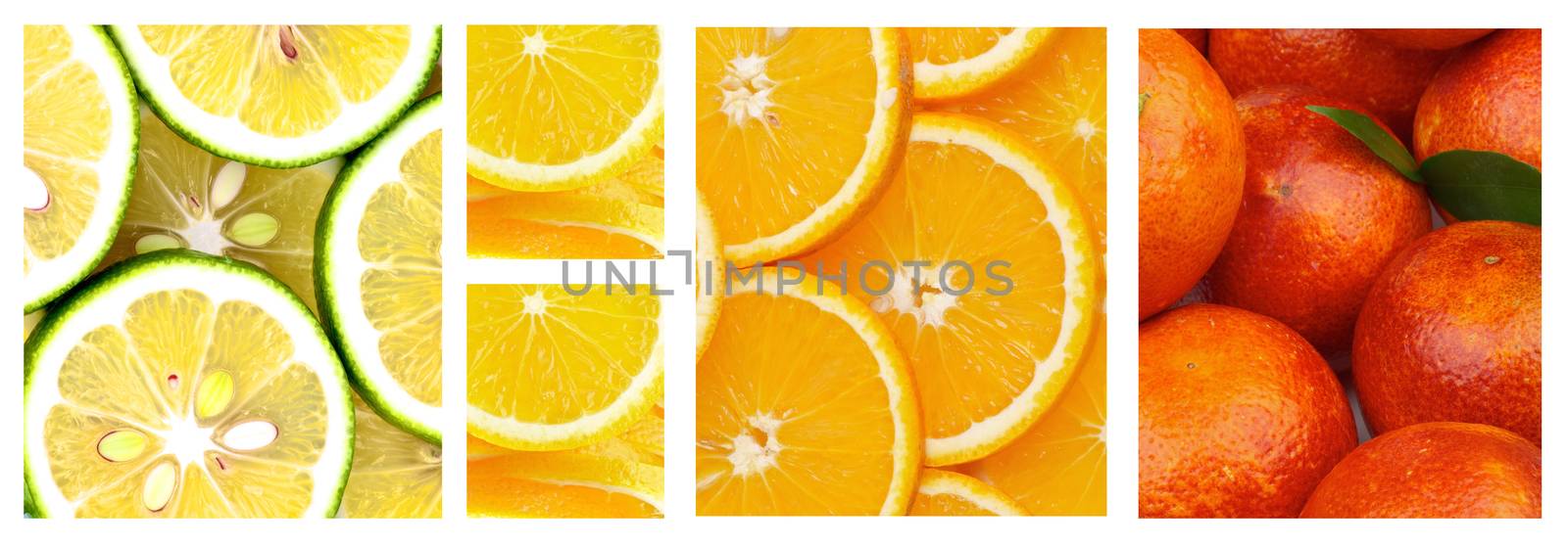 Collection of Sliced and Full Body Backgrounds of Blood Oranges, Orange Fruits and Abkhazian Lemons closeup