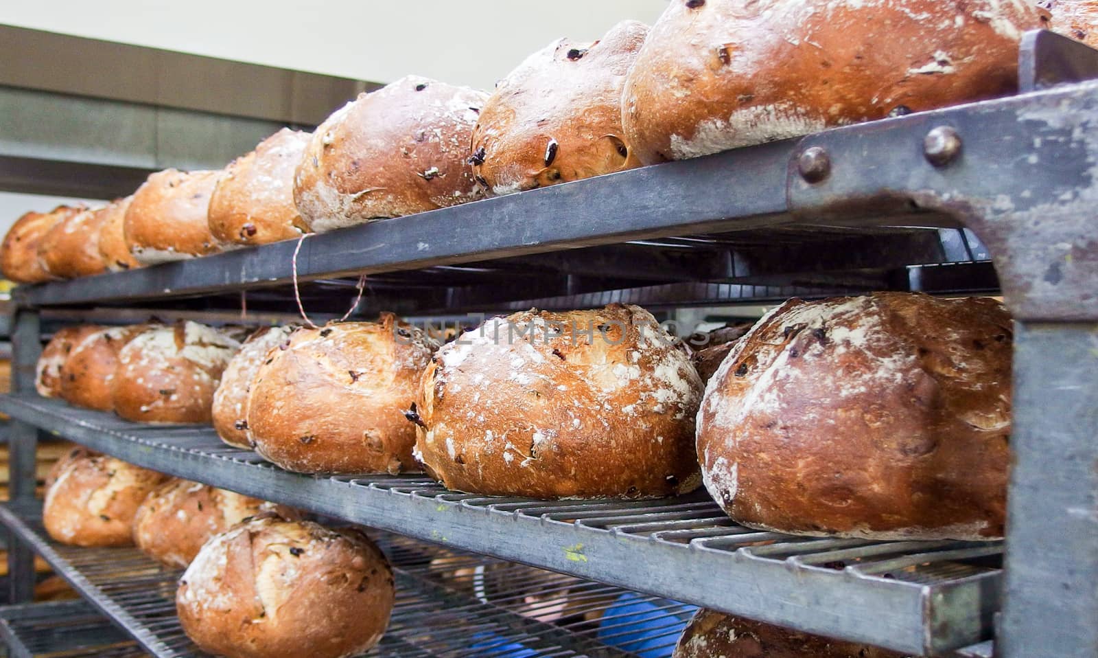 Bread on shelves by wit_gorski