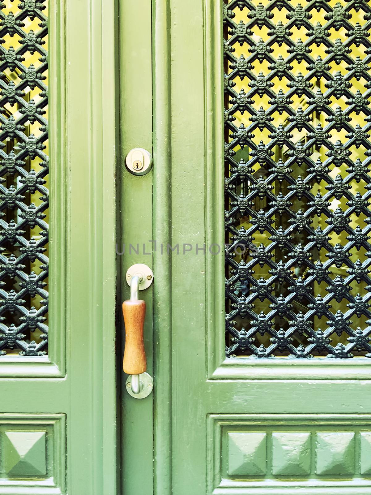 Green door with decorative grid by anikasalsera