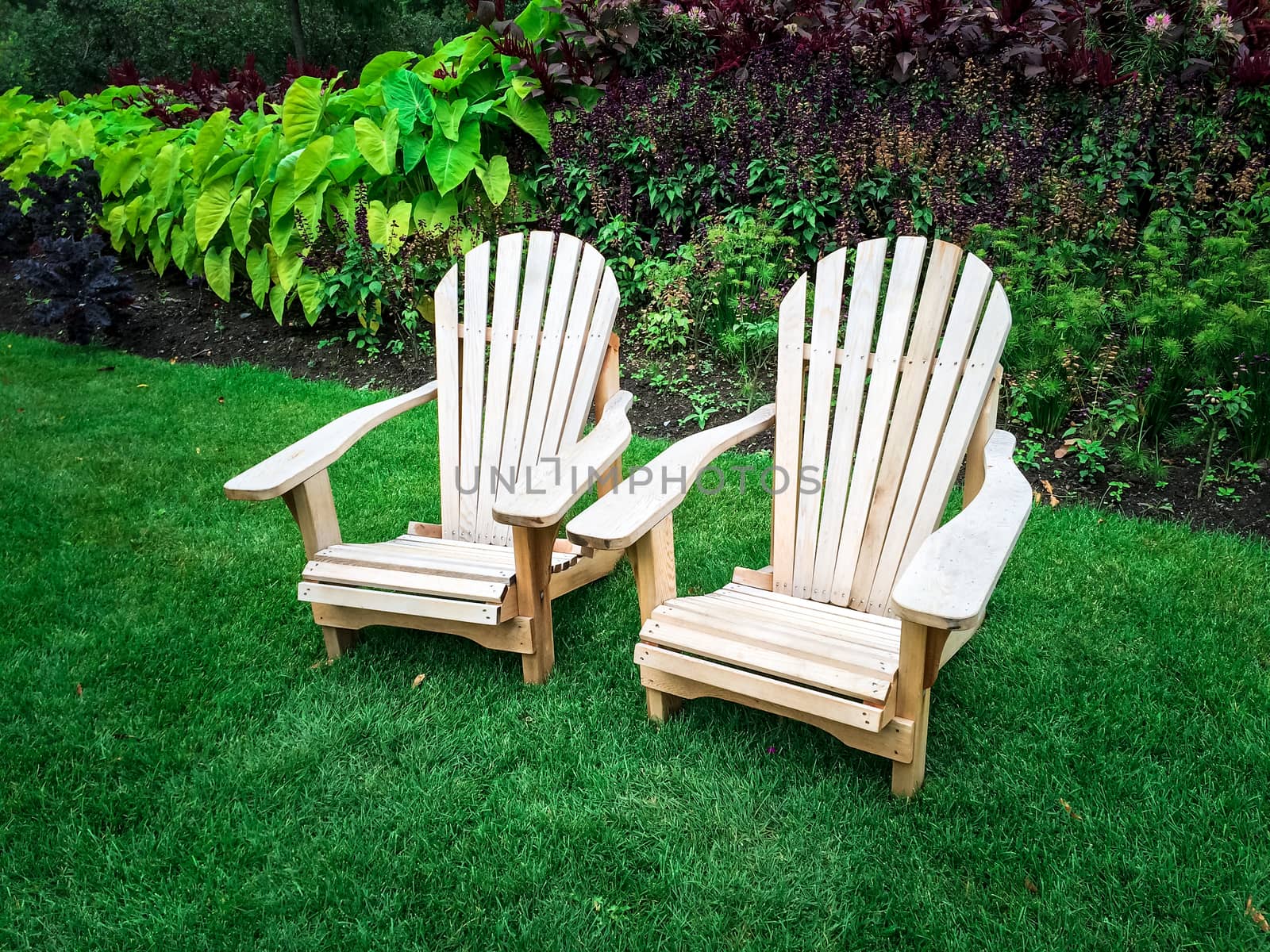 Wooden chairs on a green lawn. Summer garden.