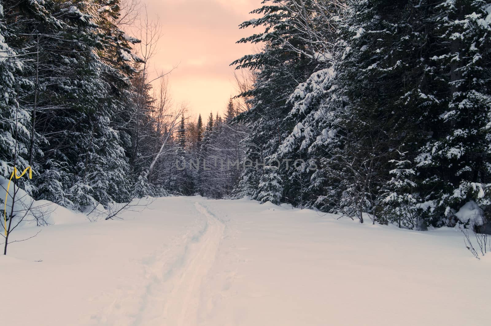 Snowshoe trail by edcorey