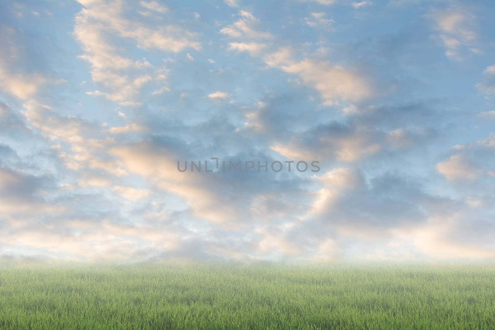 Scenic of clouds on heaven above the ground. Good background for you to put text or people on the ground.