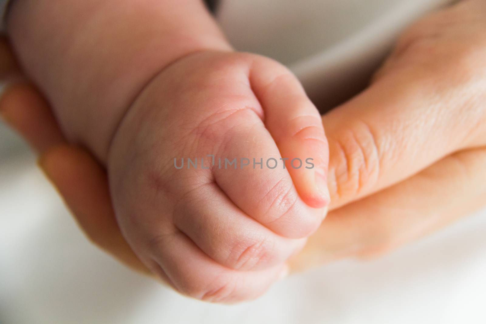 Hand newborn by batock