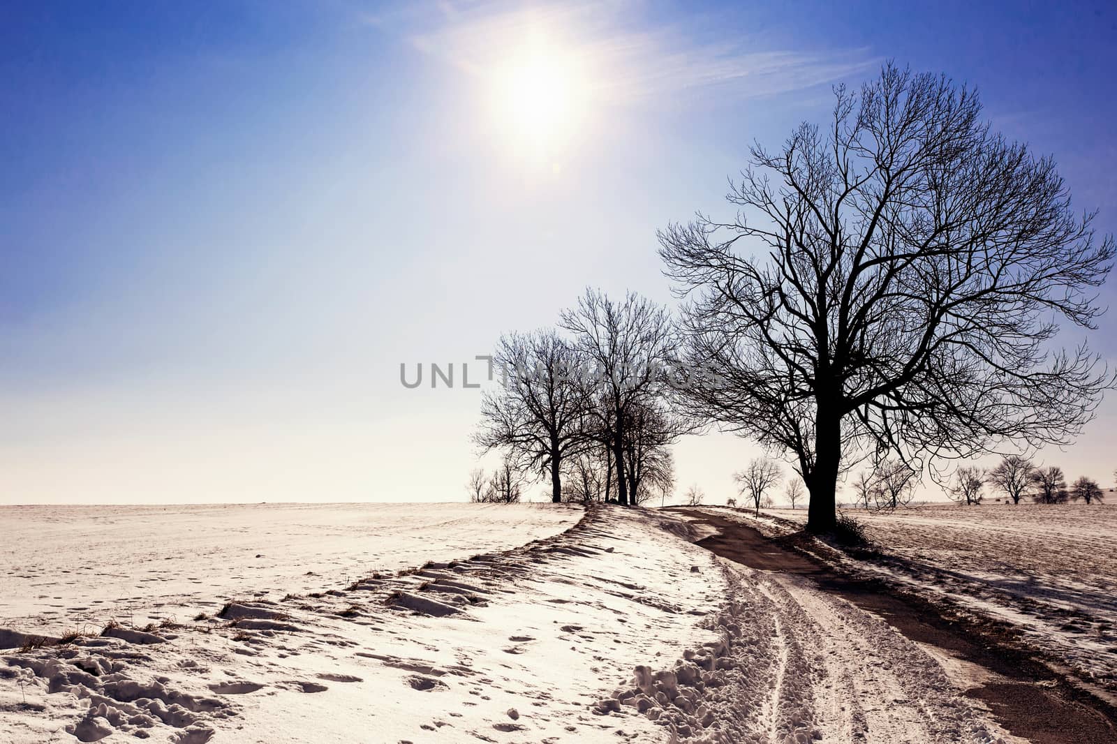 winter landscape with old grey rural road and trees, blue sky and sun